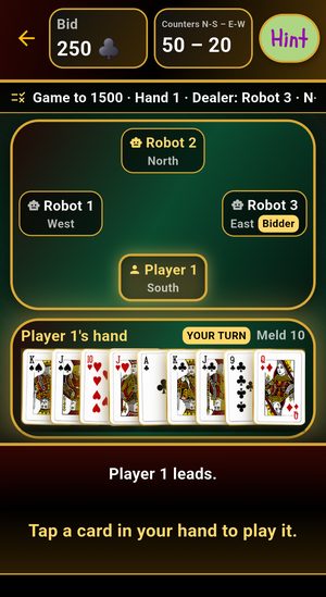 Pinochle during a hand